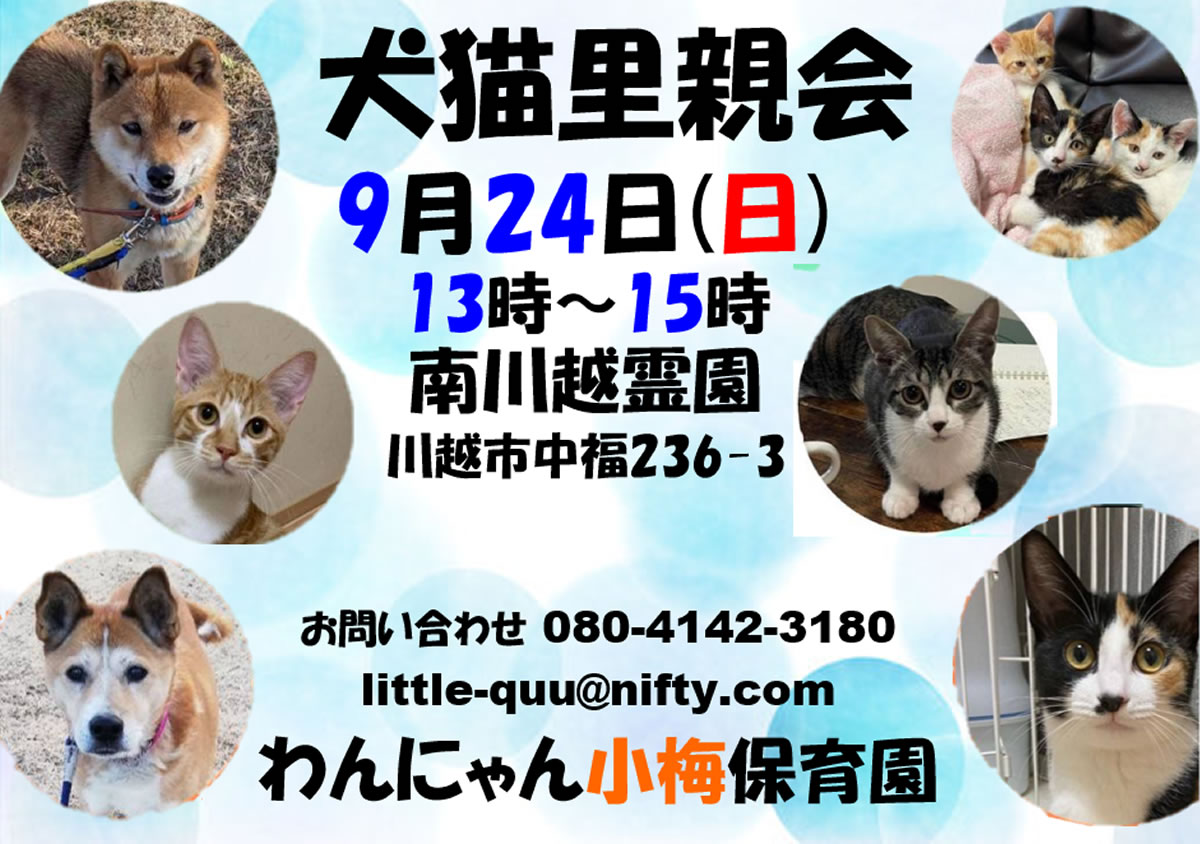 保護犬・保護猫 里親会のお知らせ